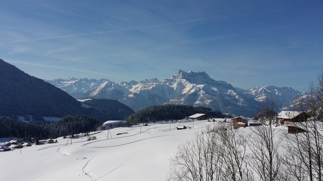 Vila Winterfell Leysin Exteriér fotografie