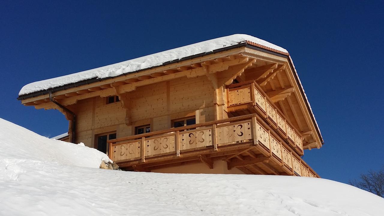 Vila Winterfell Leysin Exteriér fotografie