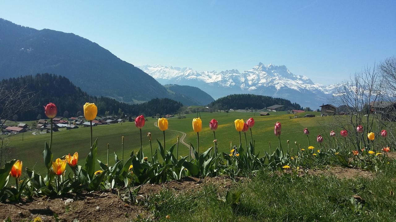 Vila Winterfell Leysin Exteriér fotografie