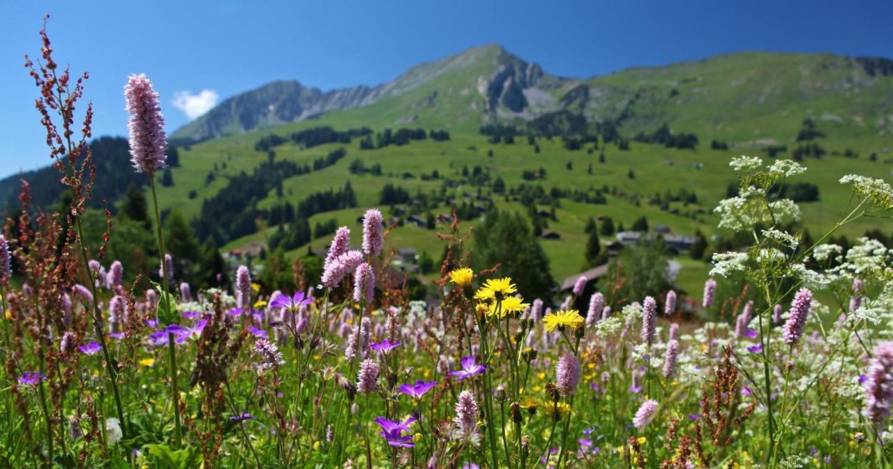 Vila Winterfell Leysin Exteriér fotografie